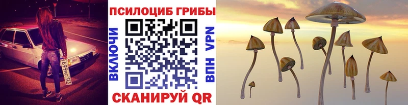 Галлюциногенные грибы прущие грибы  хочу наркоту  Чекалин 